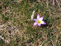 anobello-04032012 185